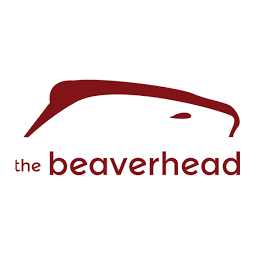 The Visual Brand (TVB)logo